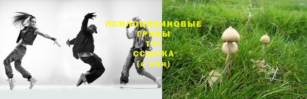 не бодяженный Заводоуковск