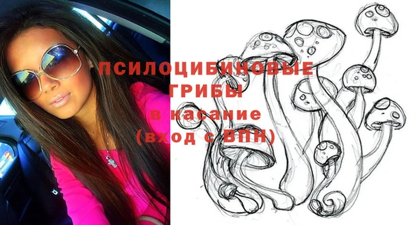 эйфоретик Заволжье