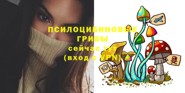 мдпв Заволжск