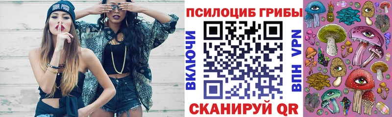 Купить где  Краснокаменск  Псилоцибиновые грибы мицелий 